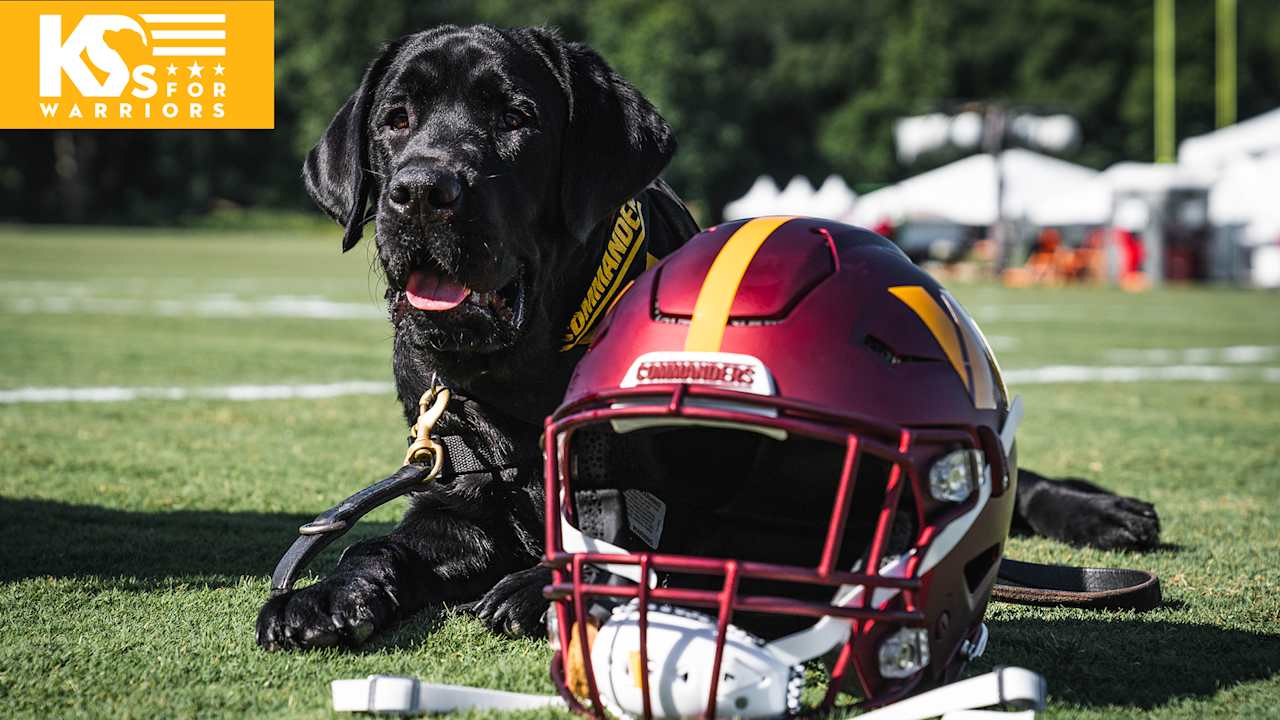 NFL dogs at practice and on the field