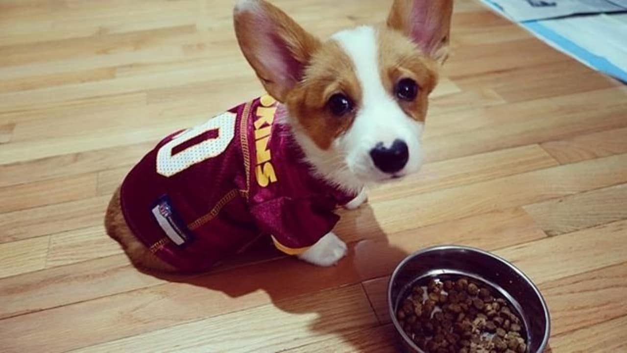 Redskin Pets