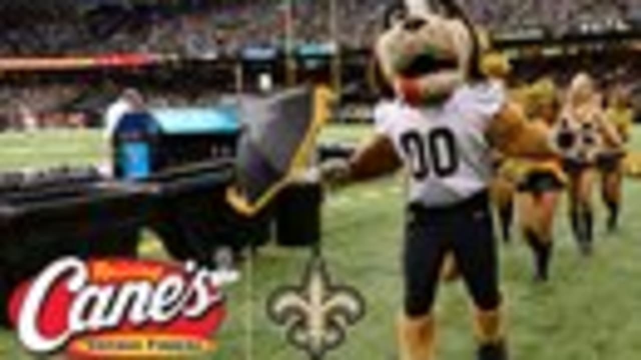 Sir Saint & Gumbo  Meet the New Orleans Saints Mascots