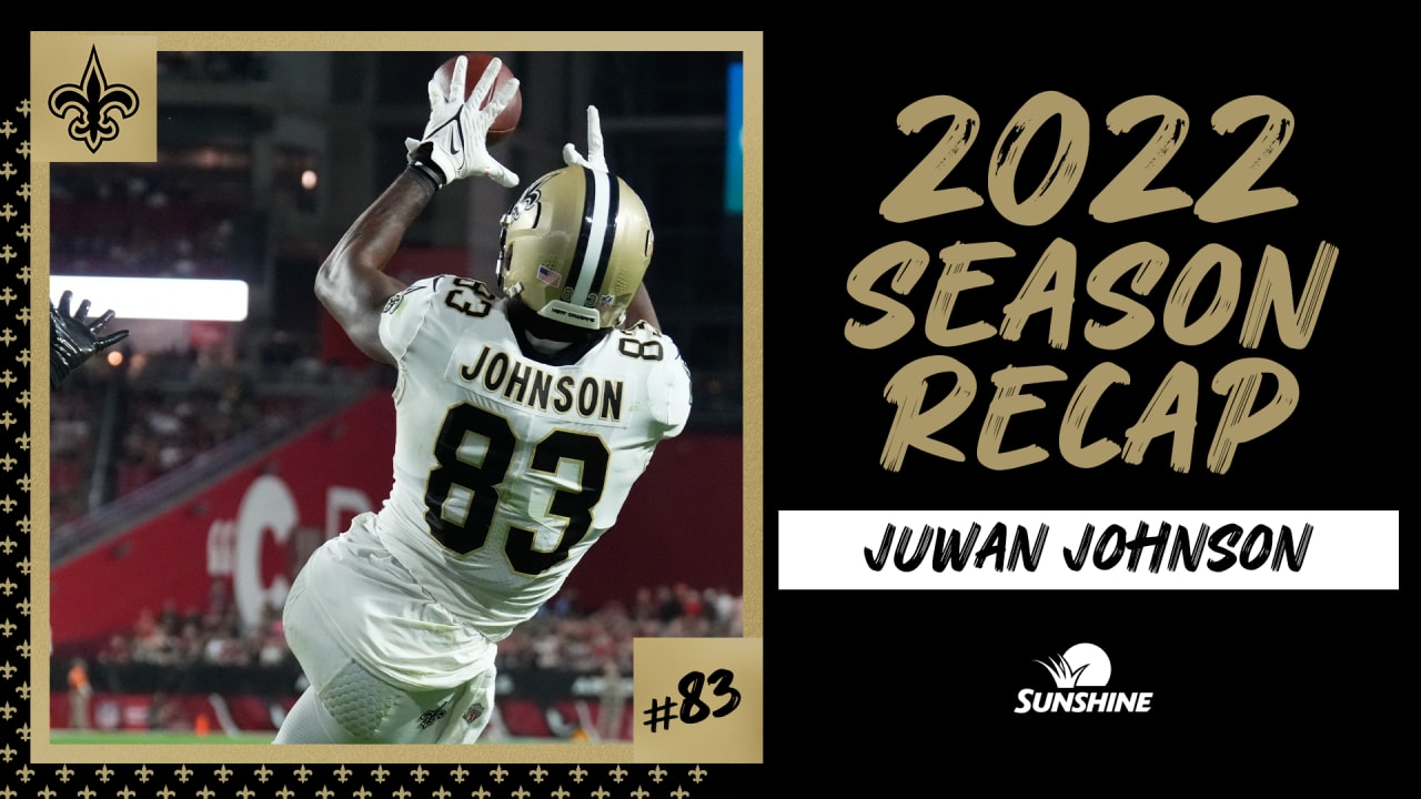 Tight end Juwan Johnson  New Orleans Saints 2022 season recap