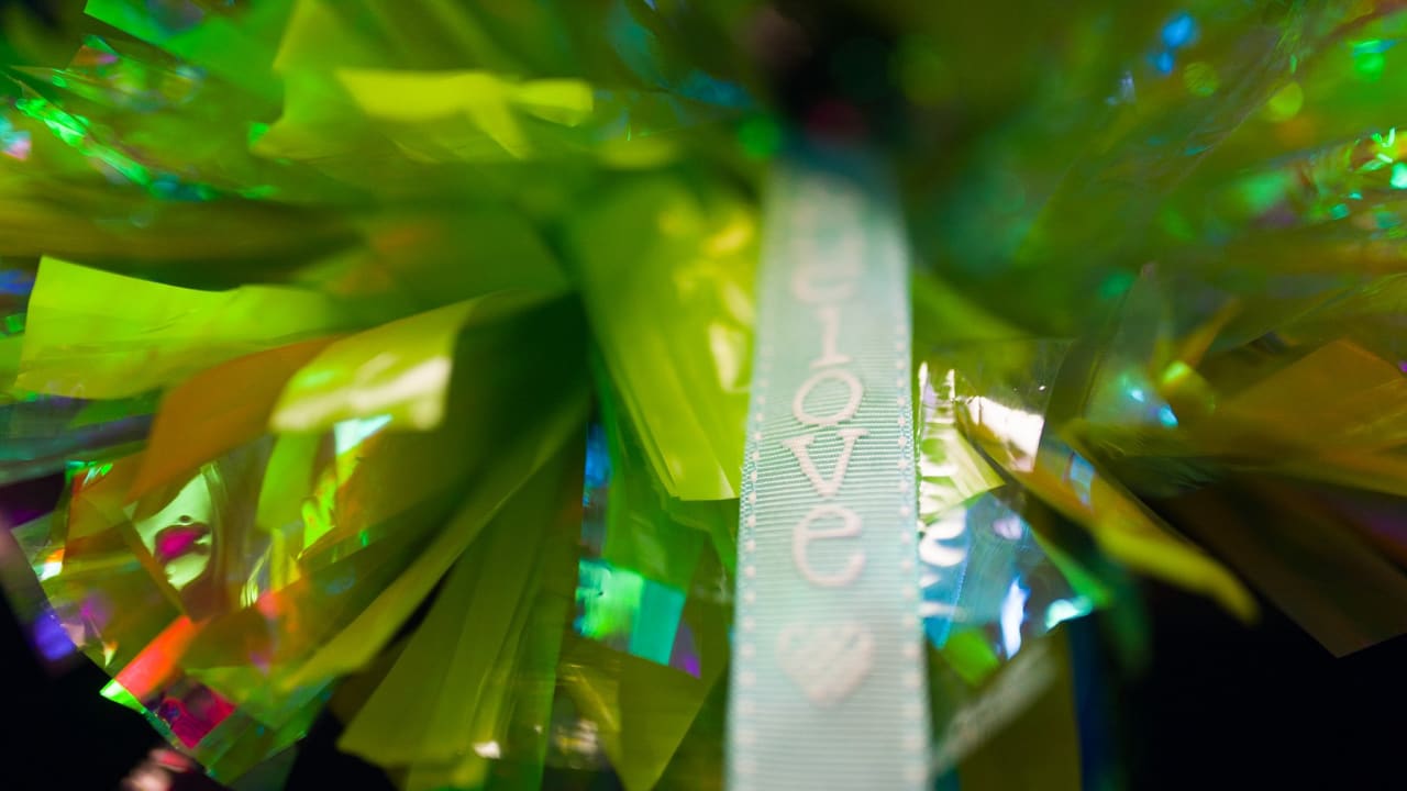 How To Make Cheer Leading Pom Poms - Seahawks colors 