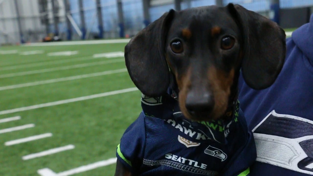 Race for Rescue Wiener Dog Franz