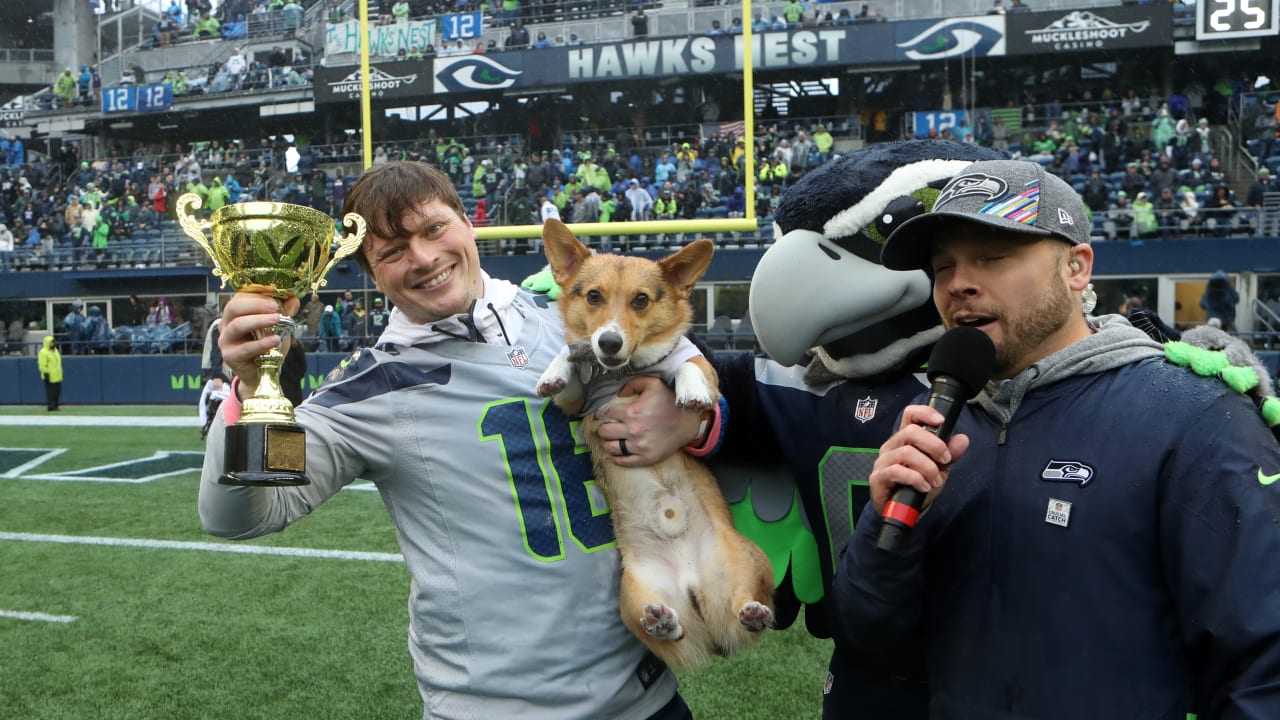 Chargers Host Corgi Cup During NFL Halftime