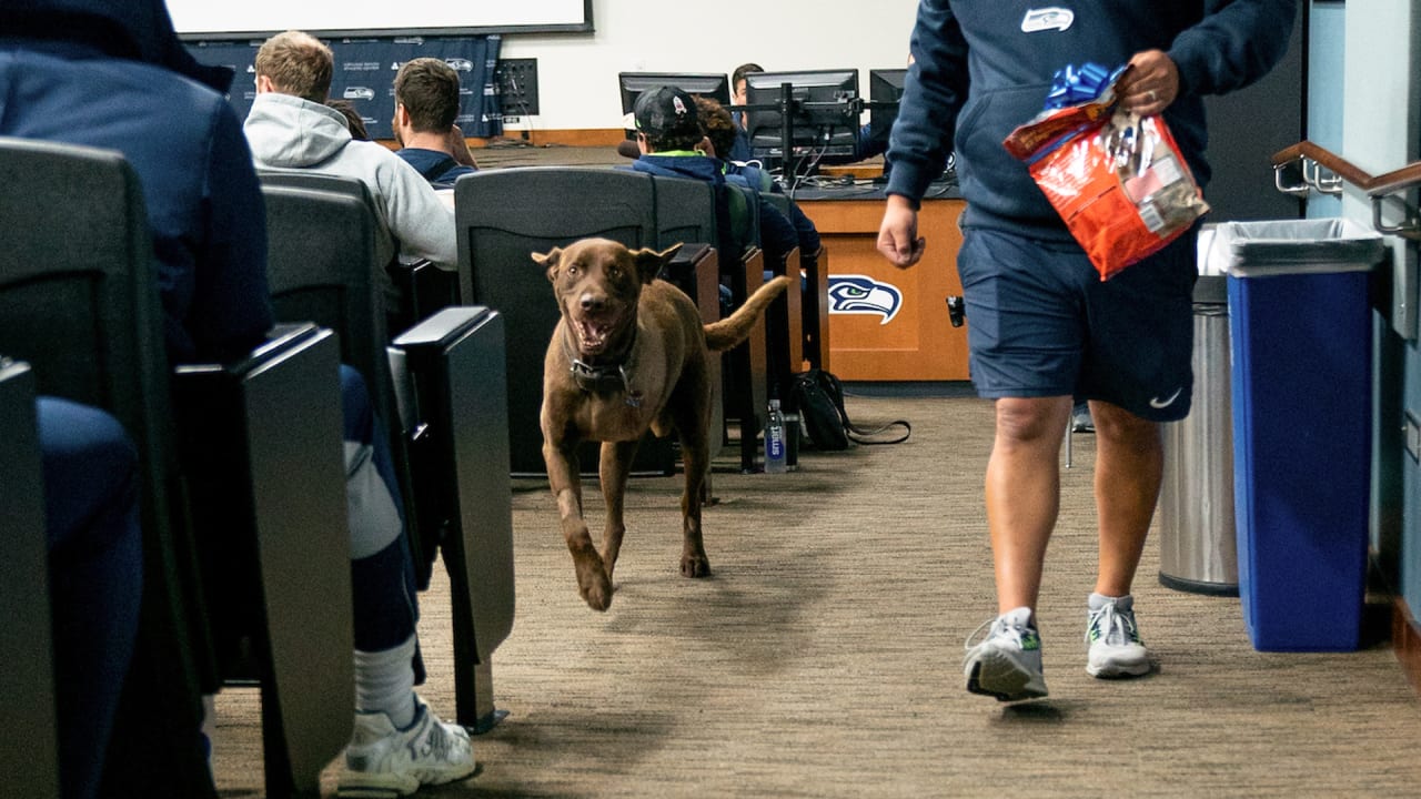 PHOTOS: Turf The Dog Returns Post-Surgery