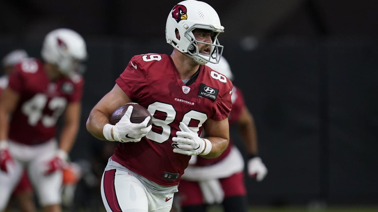 Seahawks Sign TE Ian Bunting