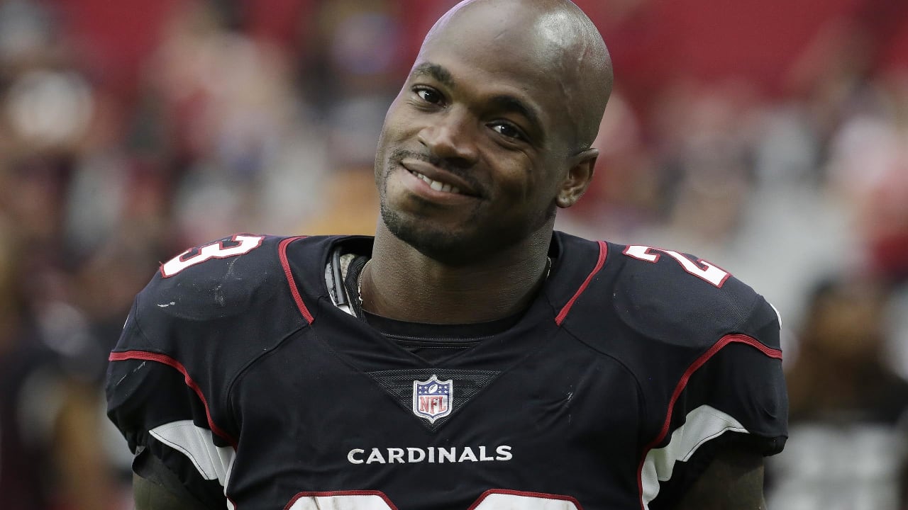 NFC West Recap: Adrian Peterson Rushes For 134 Yards, Shines In ...