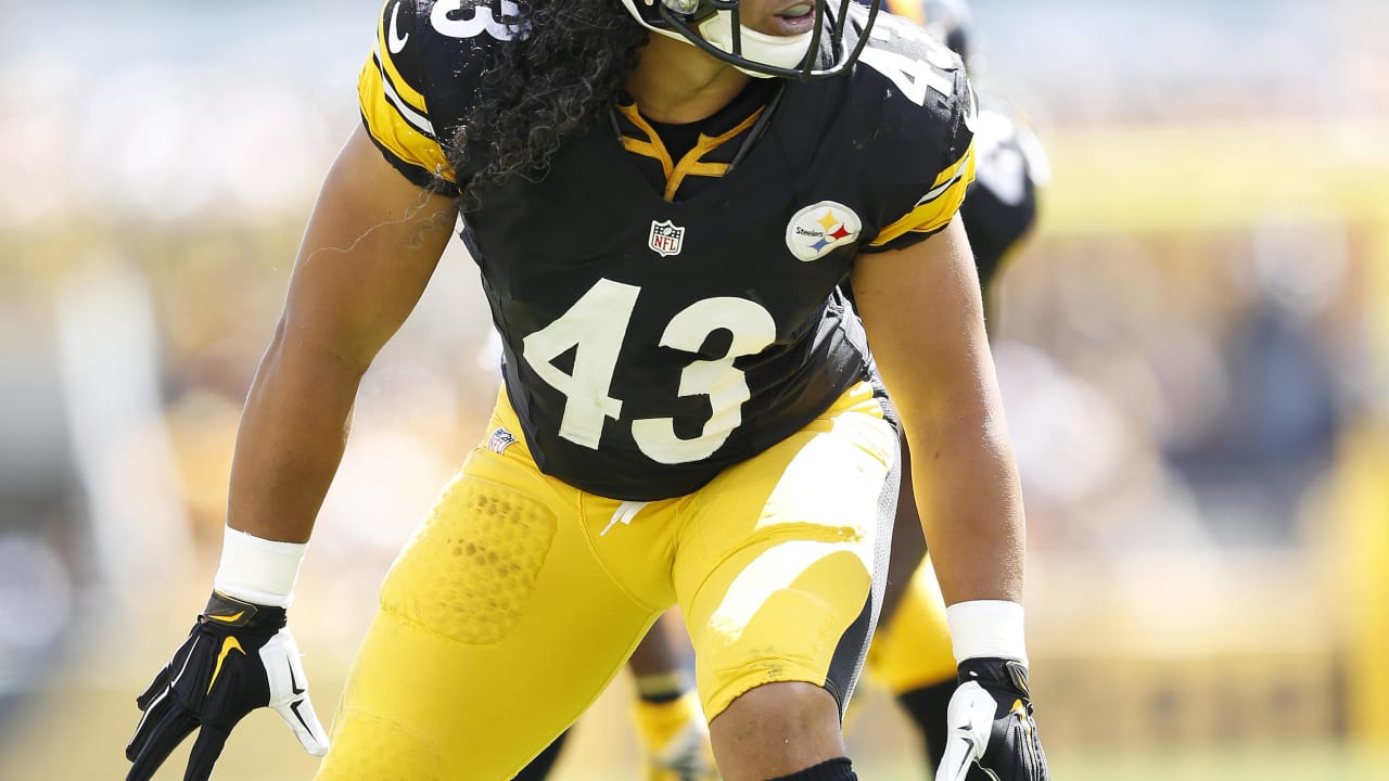 Troy Polamalu retires from the NFL