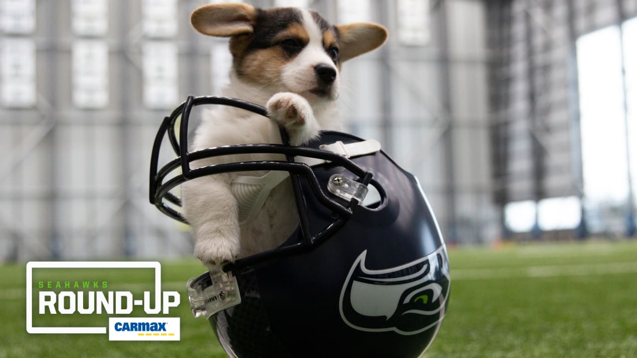 Seattle Seahawks Pet Premium Jersey