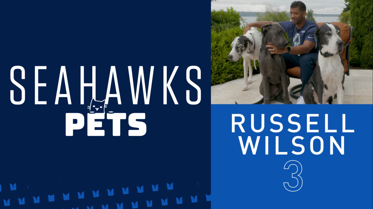 Thursday Round-Up: Seahawks Pets Video Series Collection