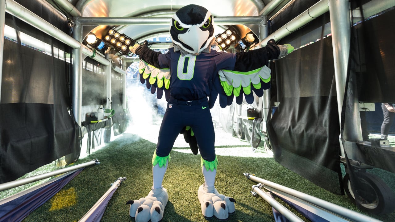 Seahawks Rush the Mascot, Blitz, in Celebration!, Falcons vs. Seahawks