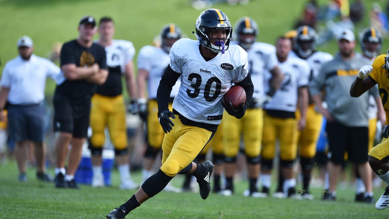 Steelers long snapper Christian Kuntz goes undercover as ticket scanner at  training camp