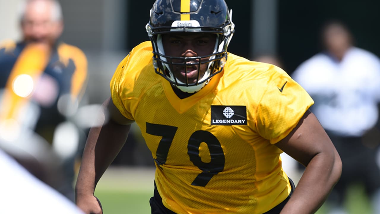 Javon Hargrave is a budding superstar, the future of the Steelers'  defensive line, NFL News, Rankings and Statistics