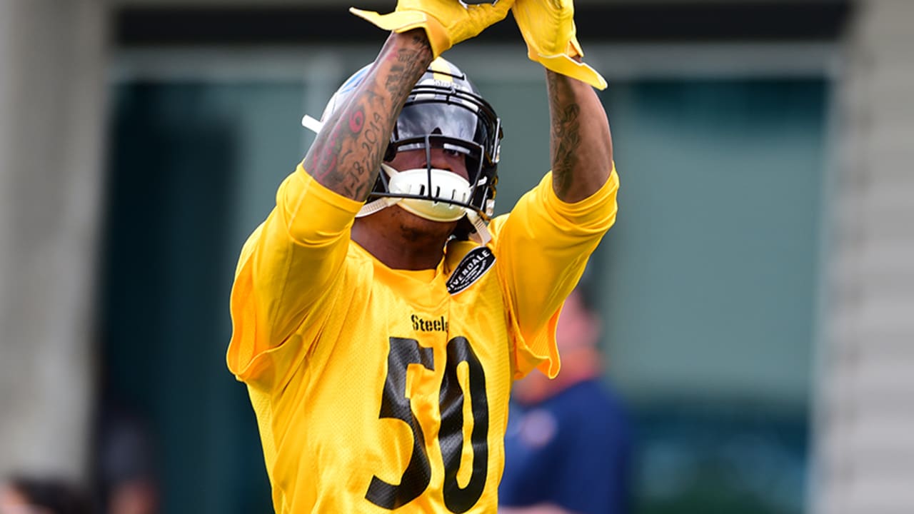 Vince Williams wears Ryan Shazier's jersey in practice