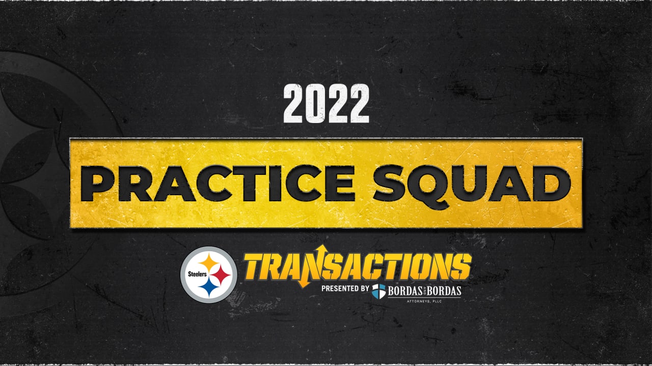 Steelers Make Three Practice Squad Moves 