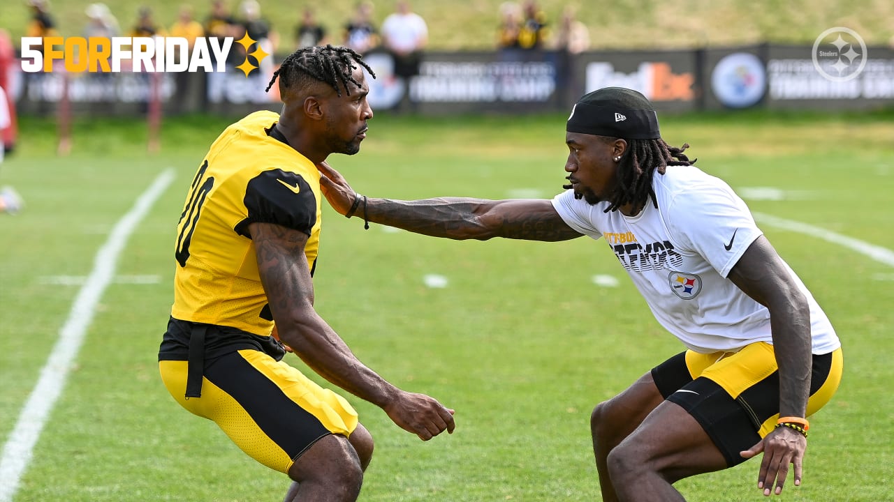 Linebacker Joey Porter of the Pittsburgh Steelers flexes his