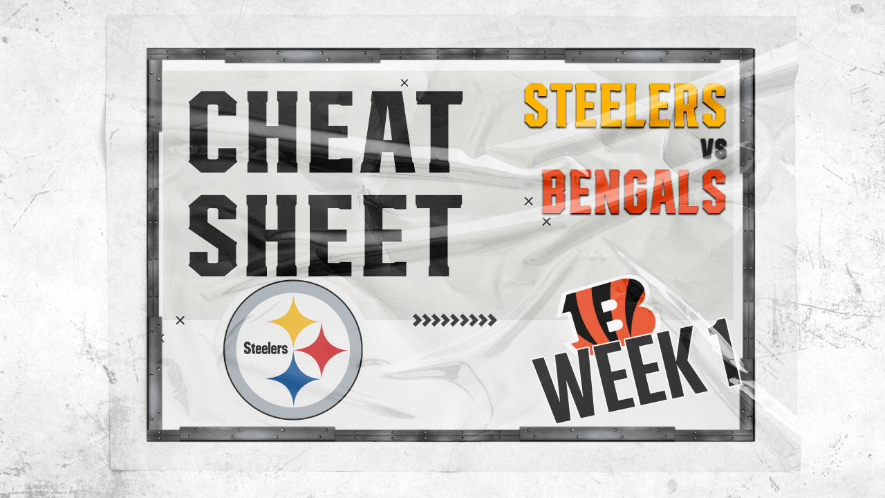 Steelers beat Bengals in wild NFL Week 1 game