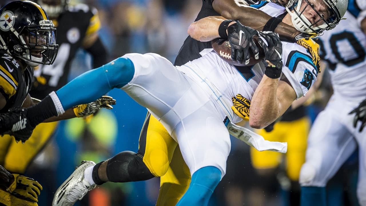 Panthers defeat Steelers 18-6 in preseason game