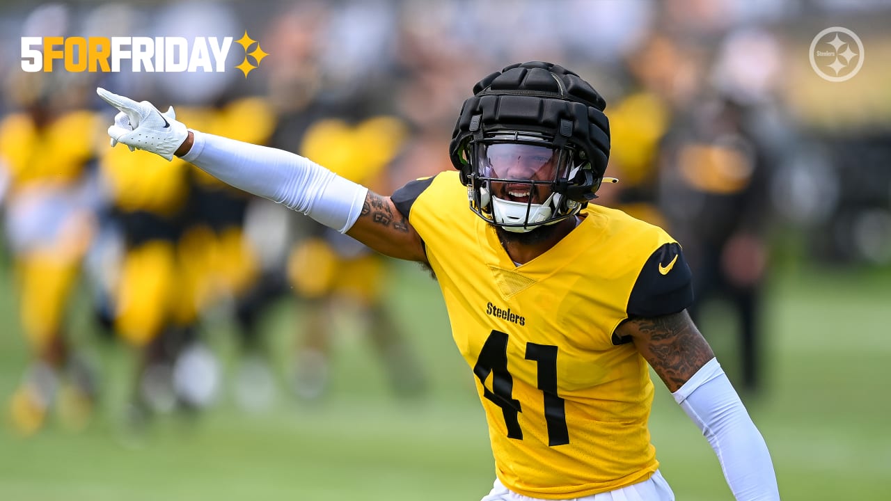 I'm A Mountaineers On Saturdays And A Steelers On Sundays Helmet