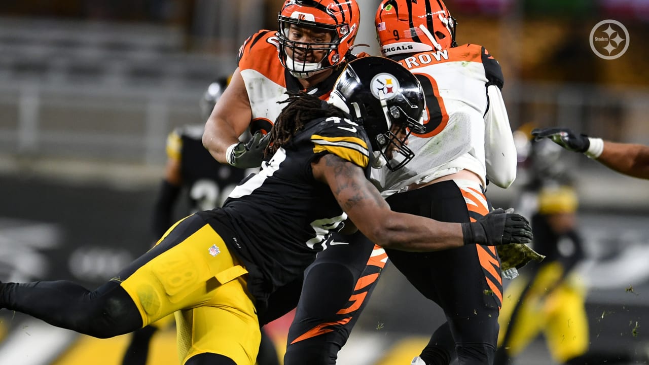 Bengals embarrass Steelers 24-10