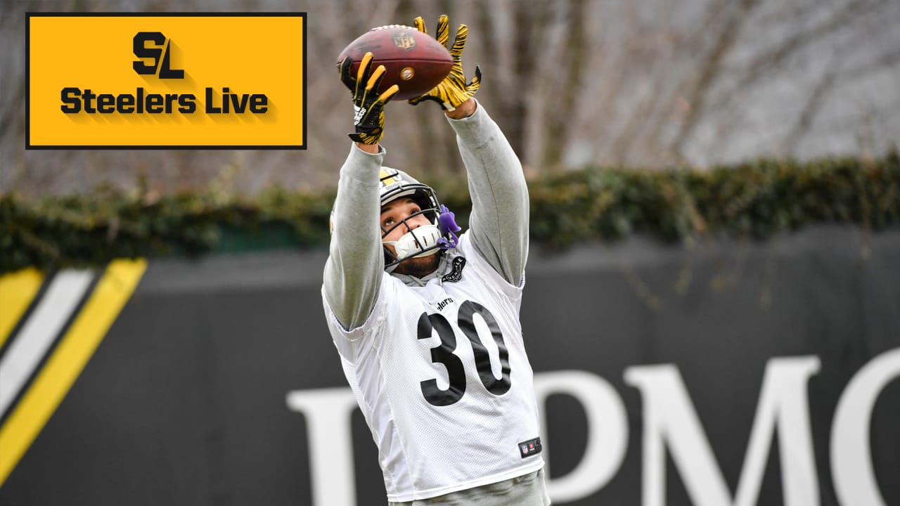 steelers bengals live