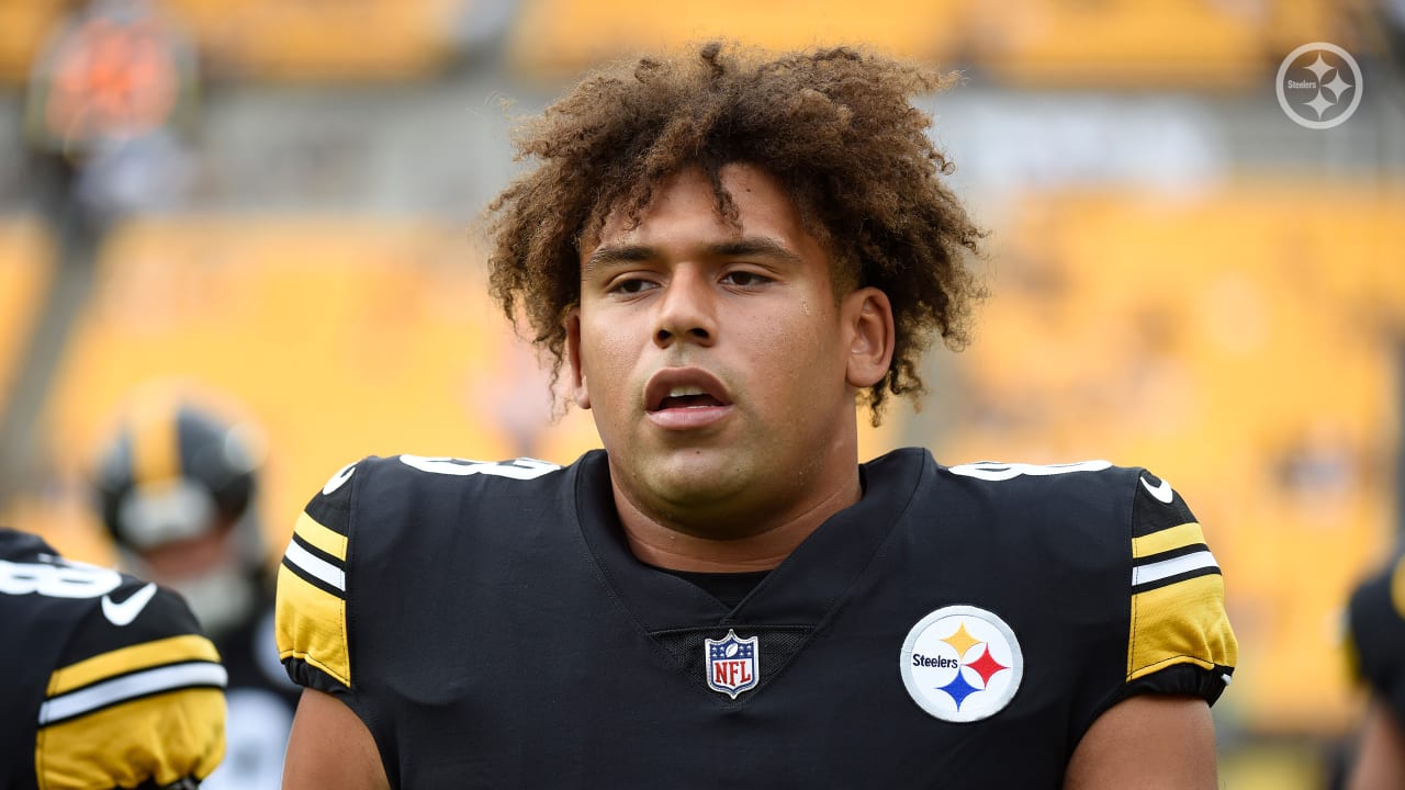 Steelers Final 2022 Preseason Game Features Return Of Cam Heyward