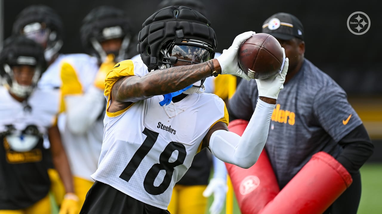 Diontae Johnson Injury: What We Know About the Steelers WR