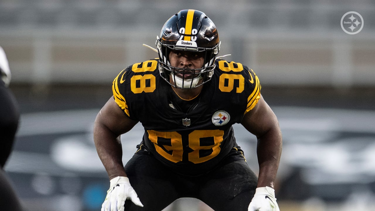 Retired Steelers LB Vince Williams: 'Next 98 Better Be a Dog' - Steelers Now