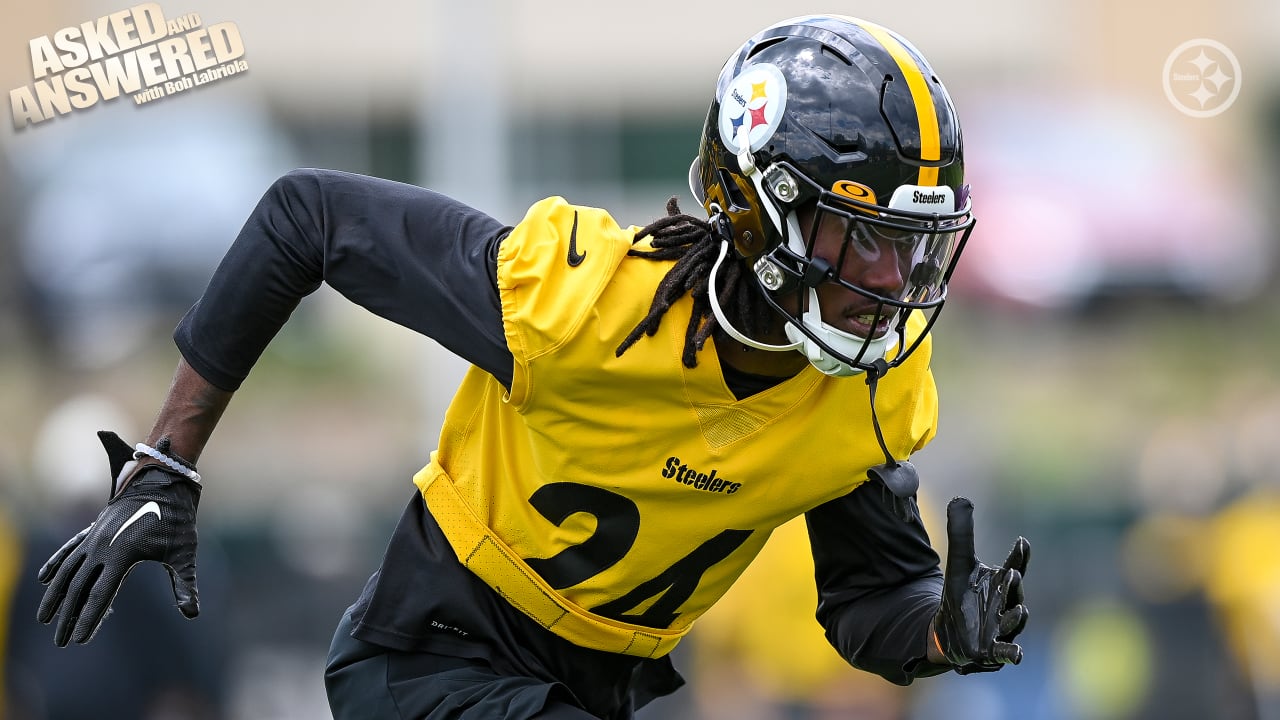 Steelers punter Pressley Harvin III: 'Built like a linebacker who could  punt the ball a mile'