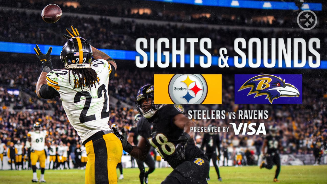 Ravens vs. Bengals, Week 17 Highlights