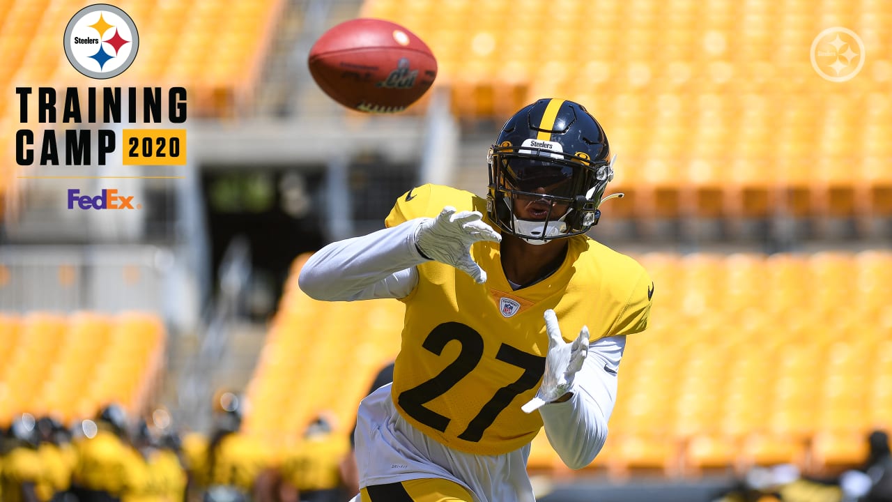 Mike Tomlin Praises Steelers ILB Devin Bush in Return to Action - Steelers  Now