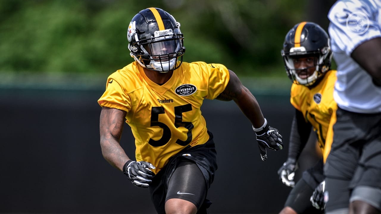 Devin Bush ready for some football, as Steelers don pads at camp