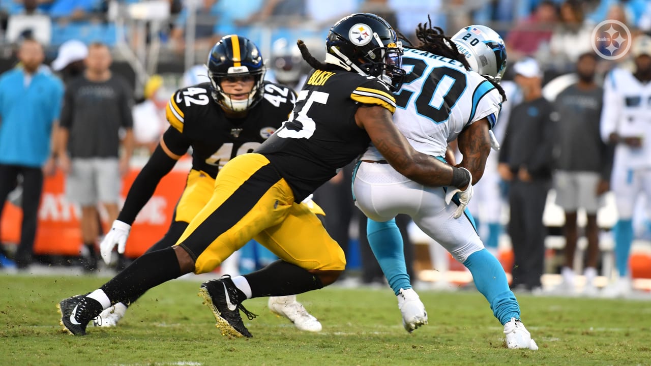 Steelers stock rising/falling after final preseason game vs. Panthers