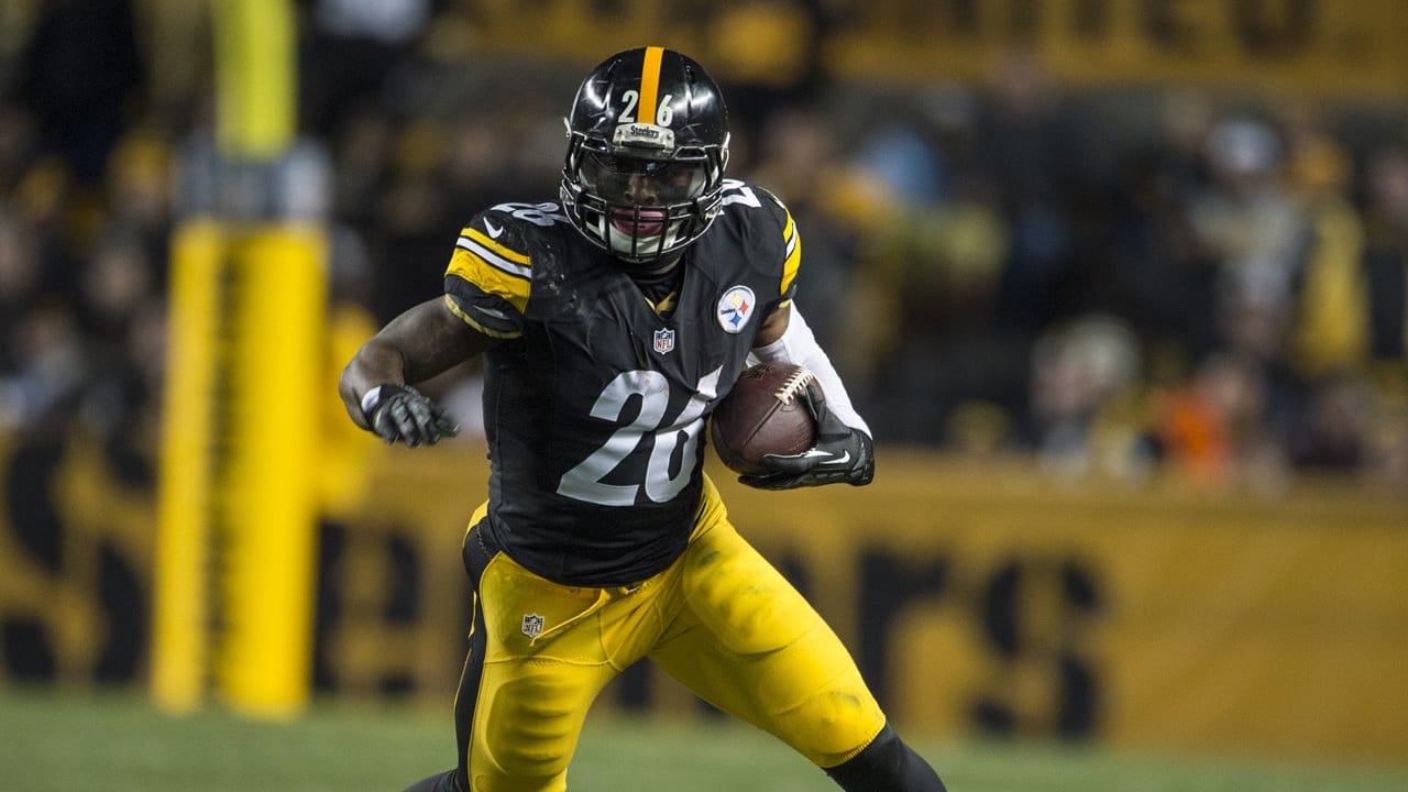 PHOTOS Steelers Running Backs of 2014