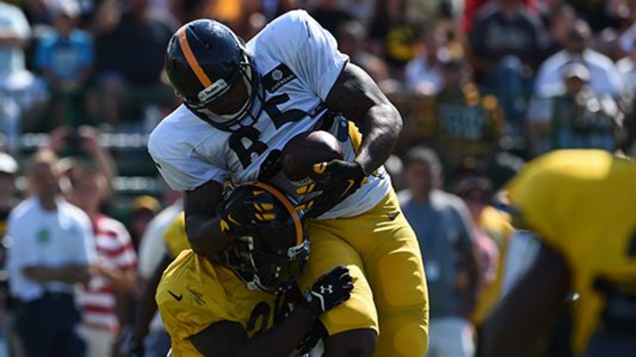 Steelers' Cameron Heyward, Ryan Shazier Nursing Injuries