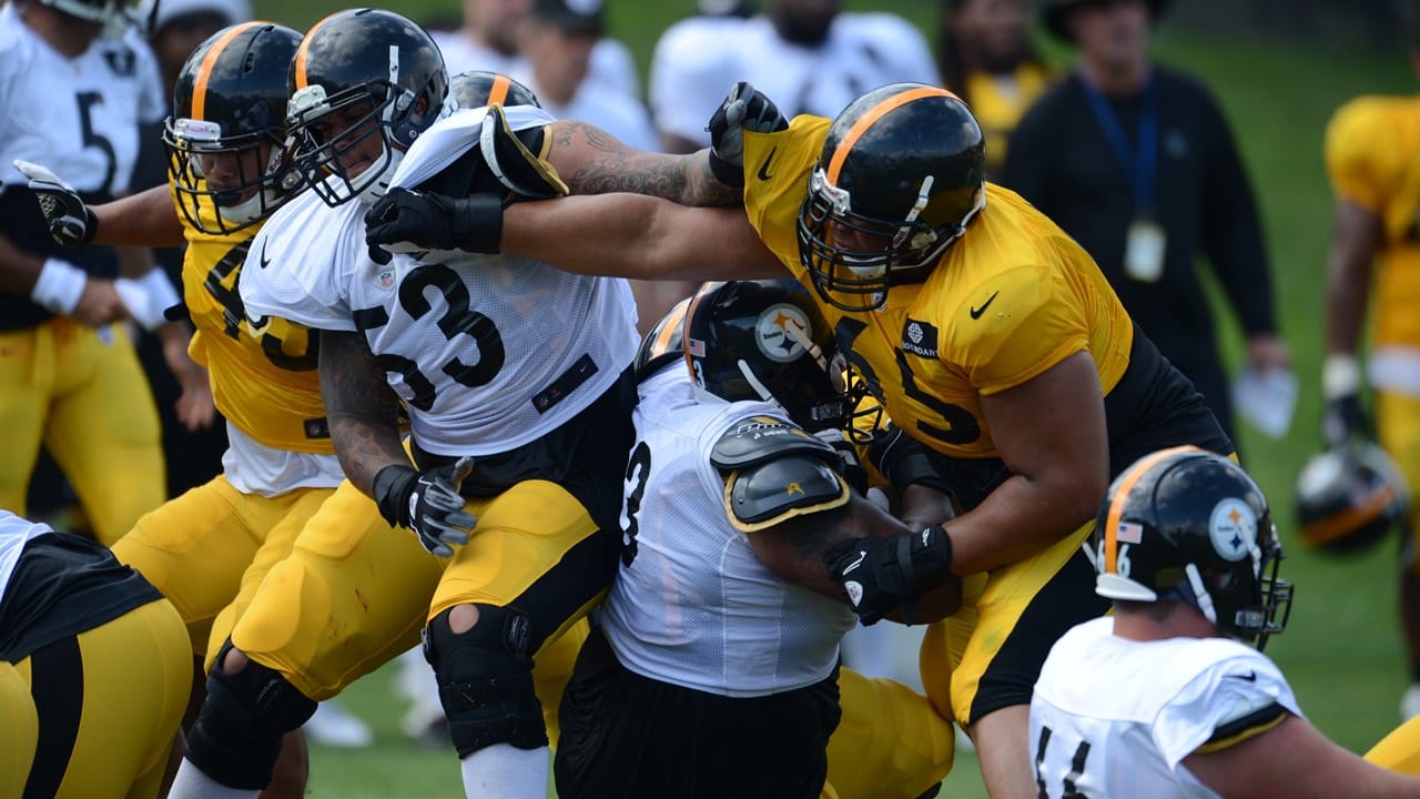 Steelers Training Camp - Day 7