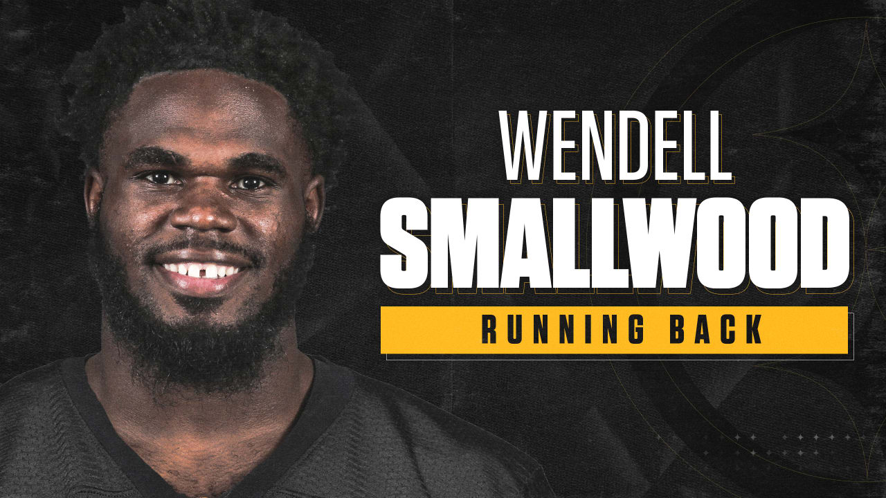 Wendell Smallwood, RB, West Virginia: NFL Scouting Report