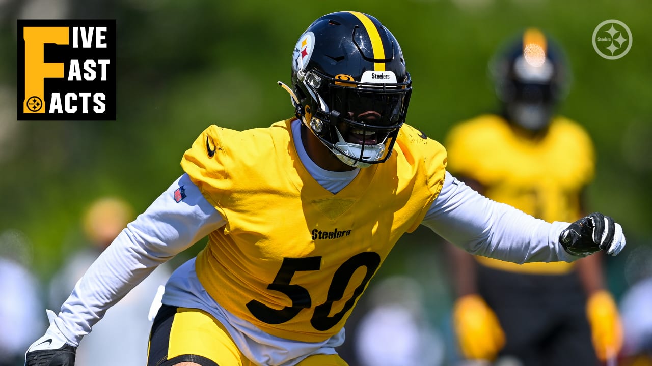 Hey, @steelers fans - if you can only add one to your collection, which  helmet are you choosing? 