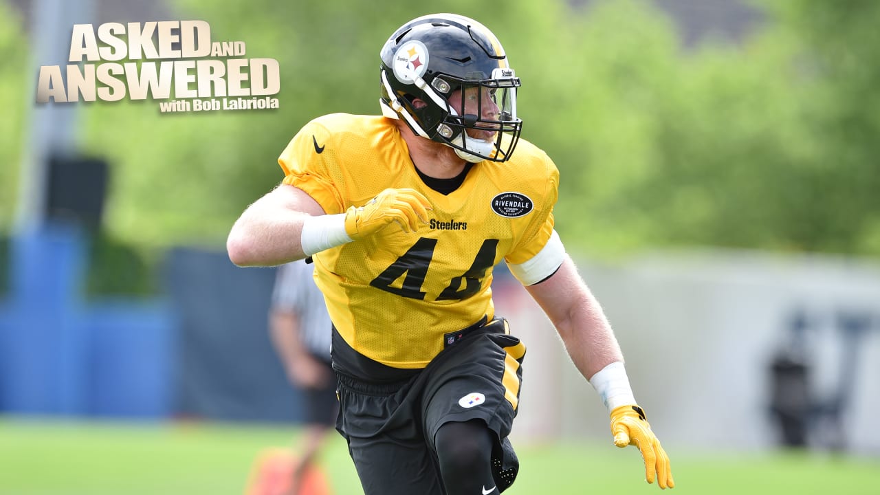 Steelers' Matakevich trying to make most of chance