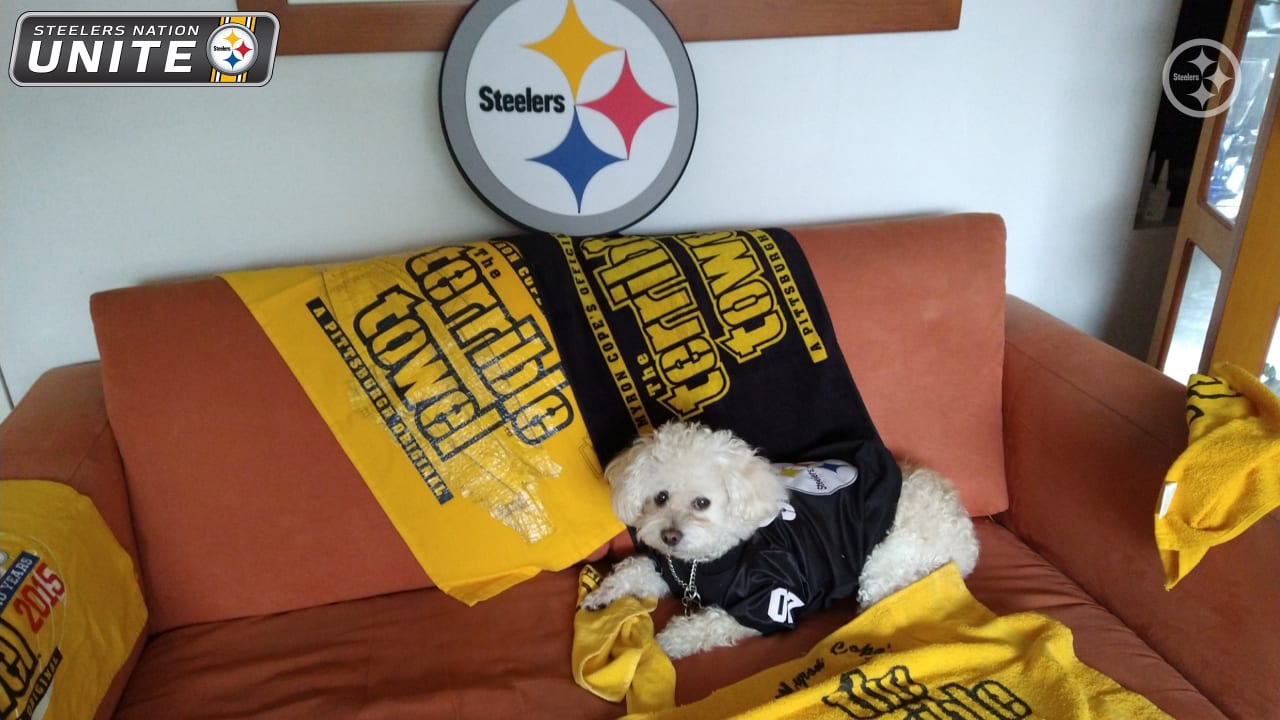 Making your Friday better one dog at - Pittsburgh Steelers