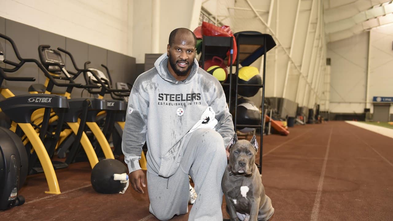 Steelers dogs are the best dogs! 