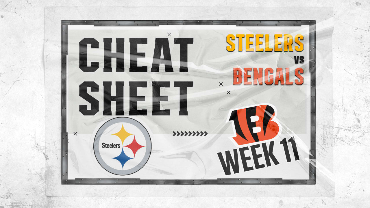 What channel is Steelers vs. Bengals on today? Time, TV schedule for NFL  Week 12 game