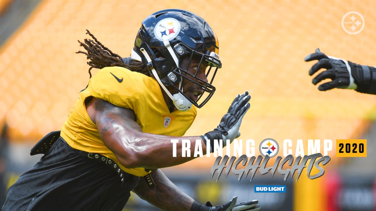 Pittsburgh Steelers Training Camp Recap: Week 2, Sports