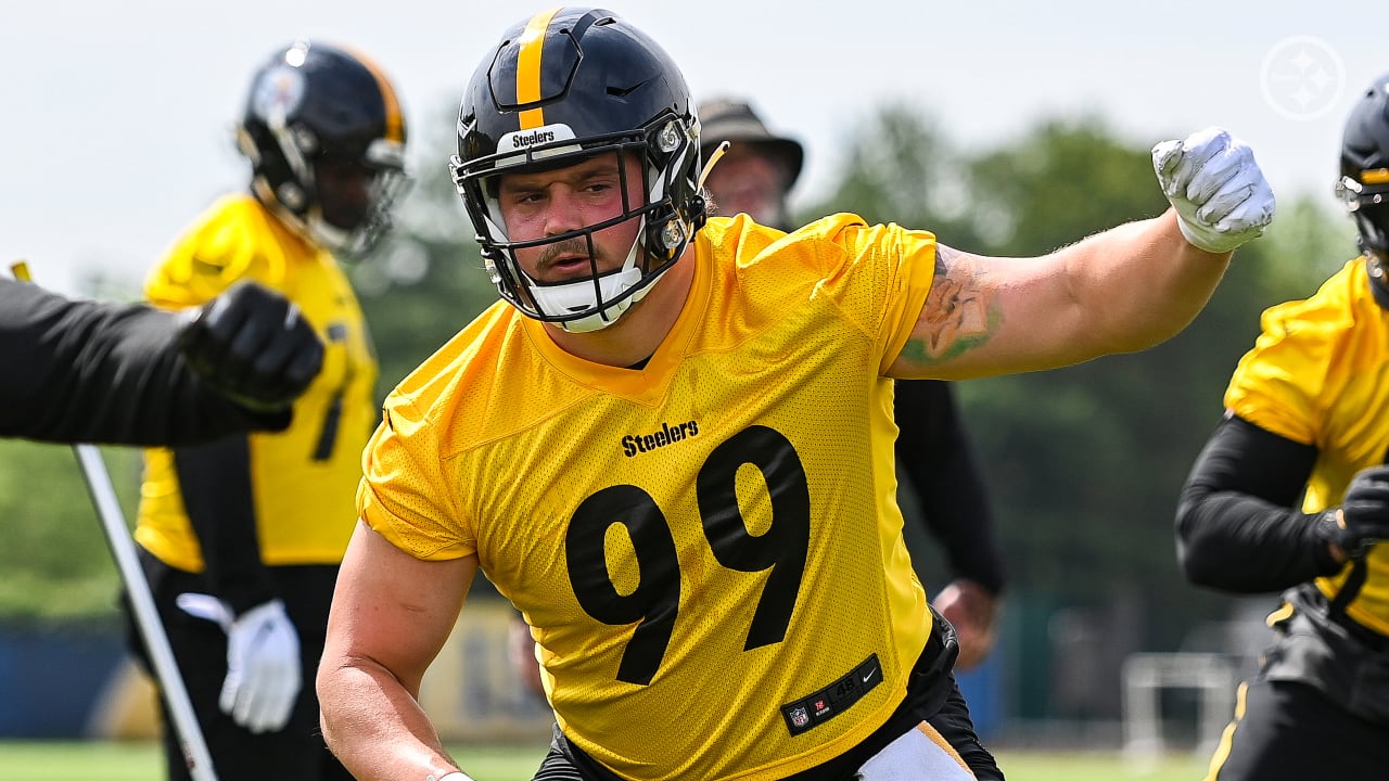 Pittsburgh Steelers' Henry Mondeaux (99) in action during a pre