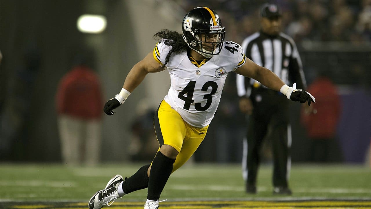 How Troy Polamalu and Ed Reed Changed NFL Defenses