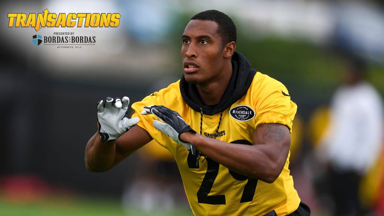 Steelers sign Hagans, Williams