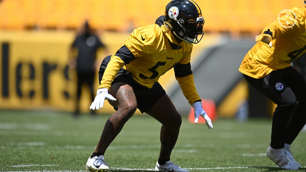 Steelers' Henry Mondeaux provides new excitement in No. 99