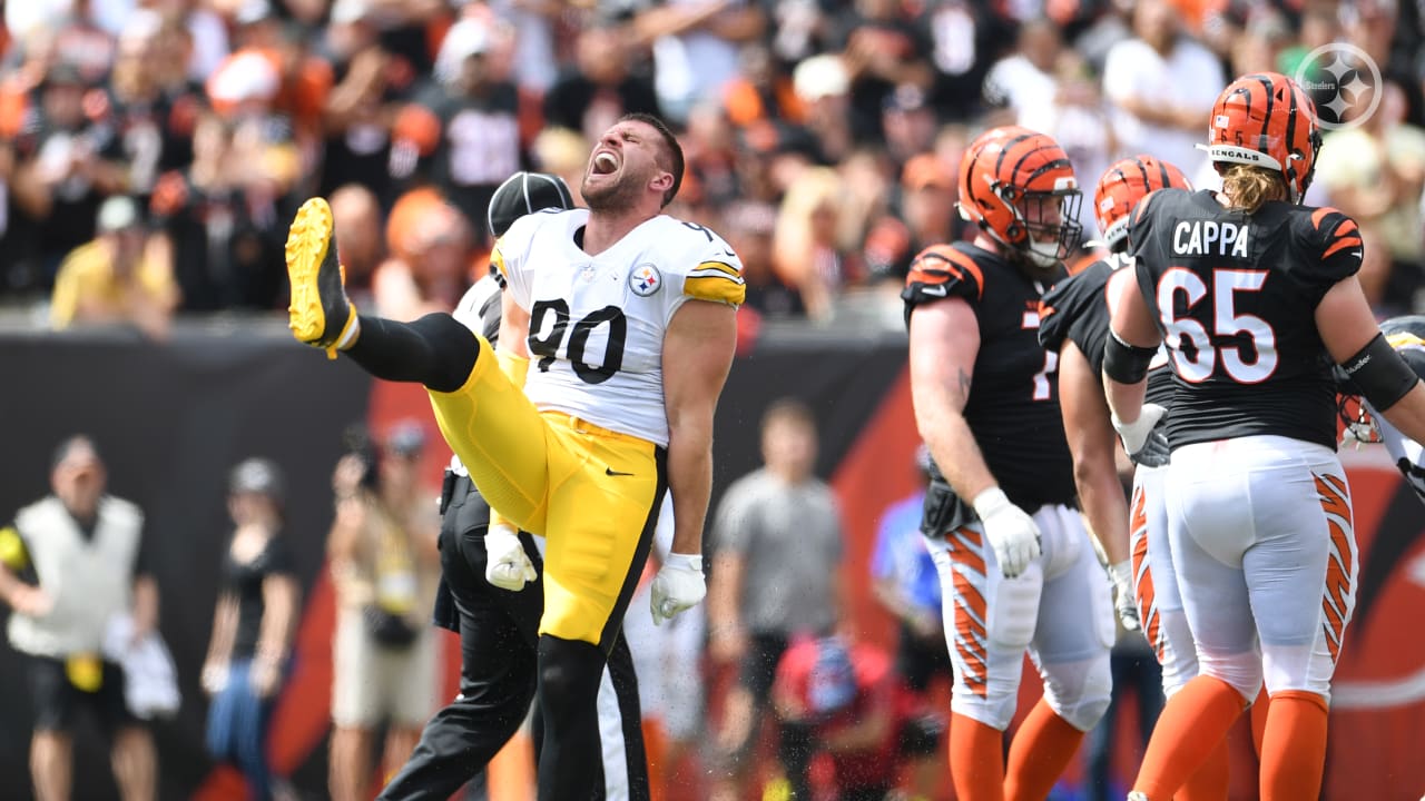 PFF PIT Steelers on X: Steelers defense & special teams in the win vs  the Bengals: ⚫️ 7 sacks 