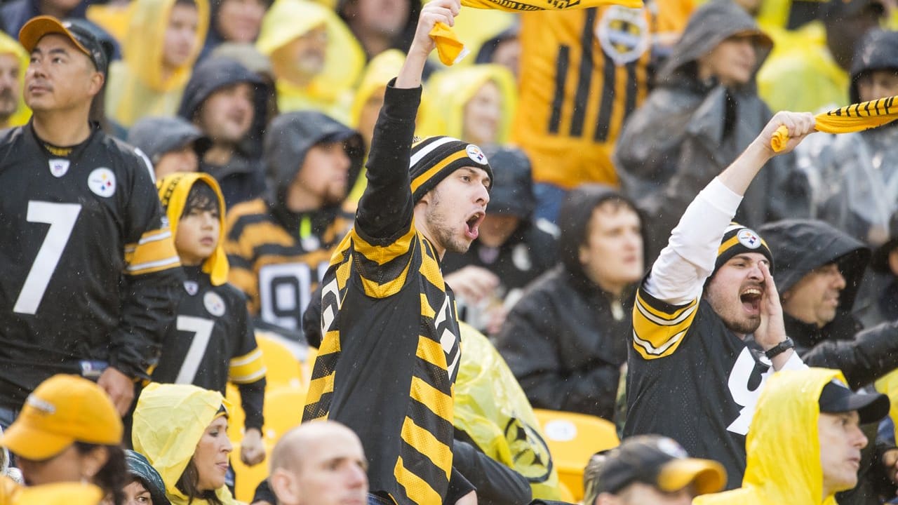 Steelers Fan Friday