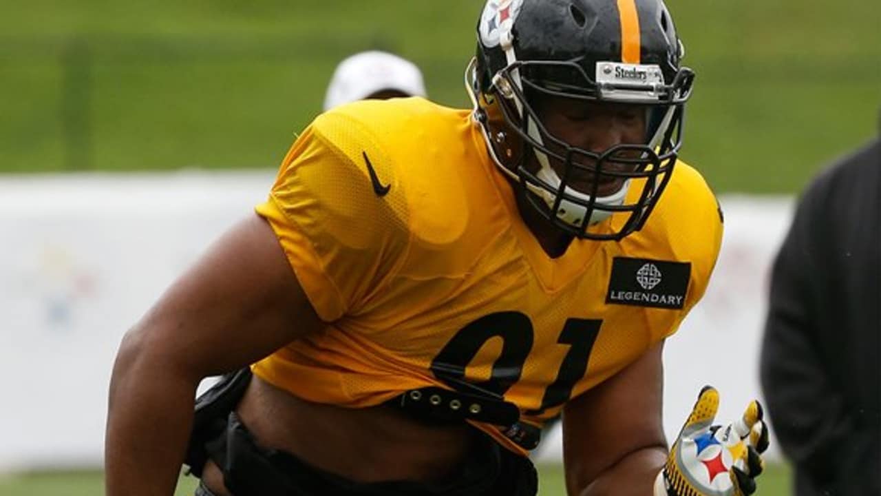 Rookie Report: Stephon Tuitt