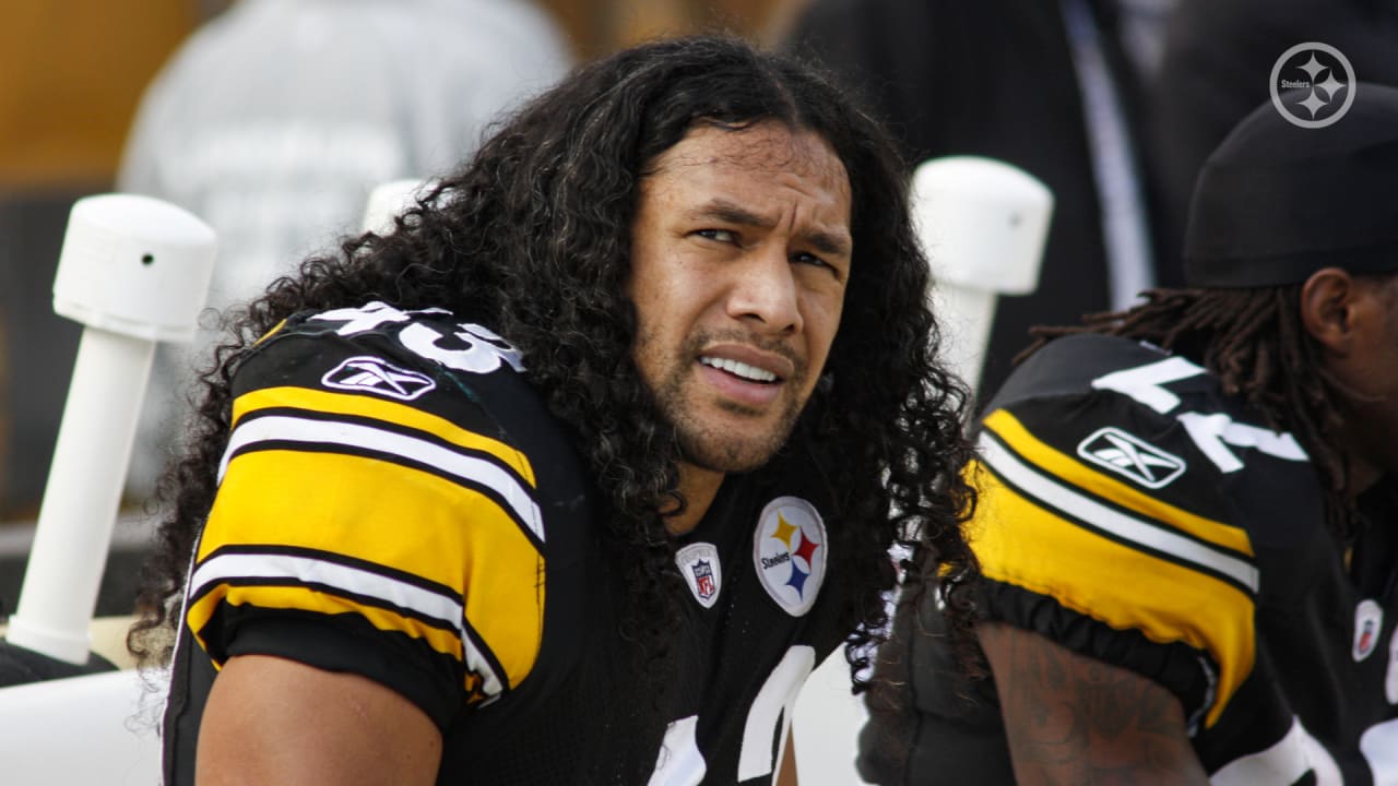 Football - Troy Polamalu - Images